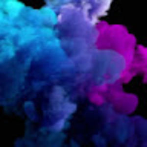 Meet your Posher, Macy